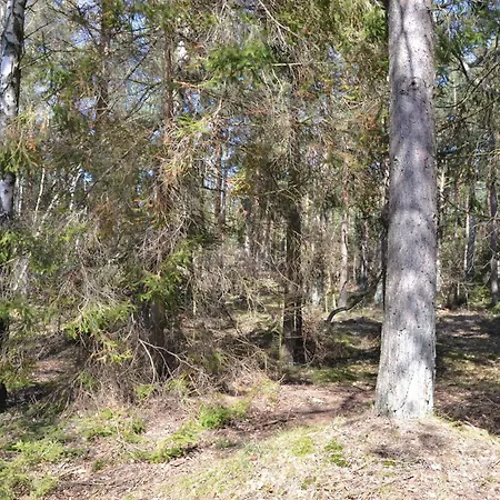 Two-bedroom In Frederiksvark * Frederiksværk